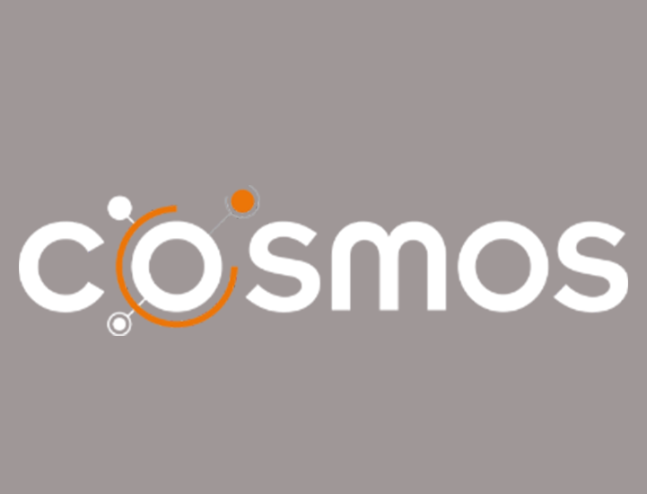 Cosmos Maroc